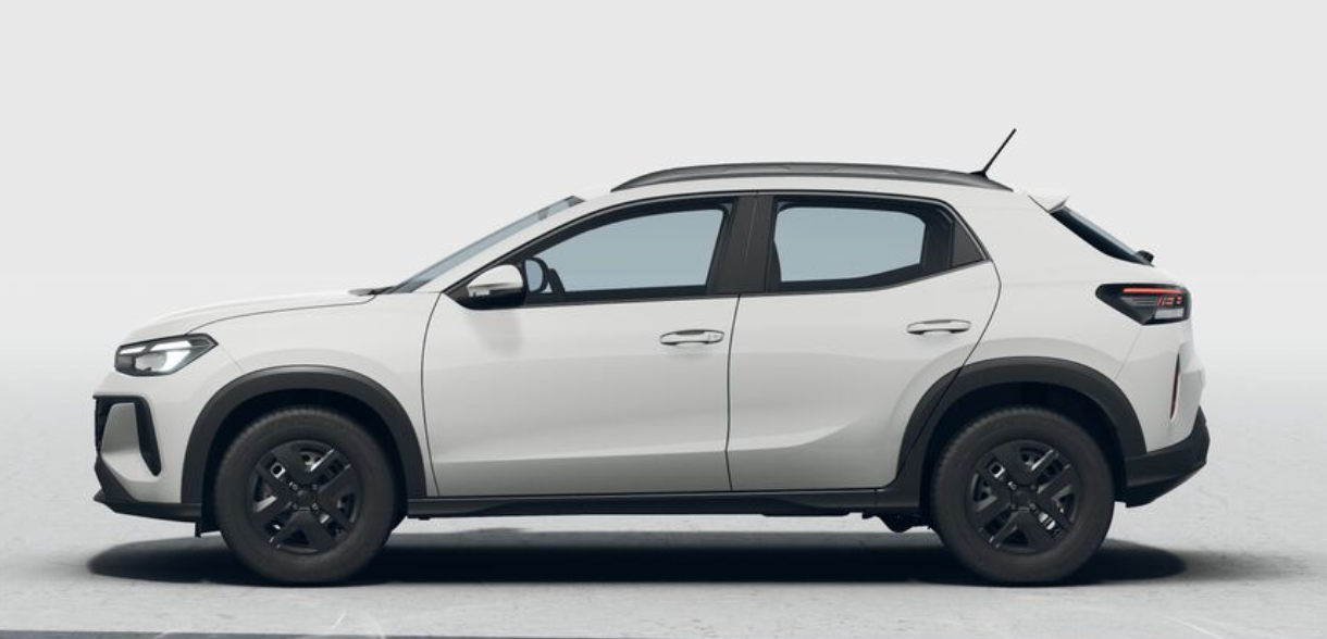 model image